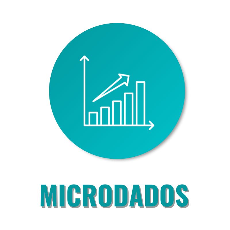 microdados1
